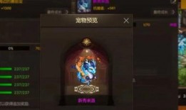 龙年限定爆料视频,揭秘神秘新皮肤与精彩活动预告